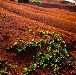 《地堡建造模拟器》上架Steam 建造避难所赚钱